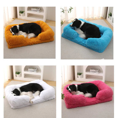 How to Choose the Perfect Dog Bed for Your Pet: Expert Tips