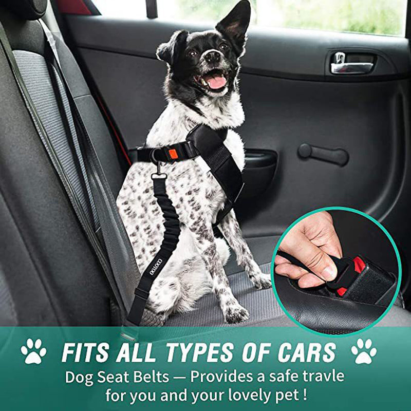 Removable Dog Seat Belt Harness for Car