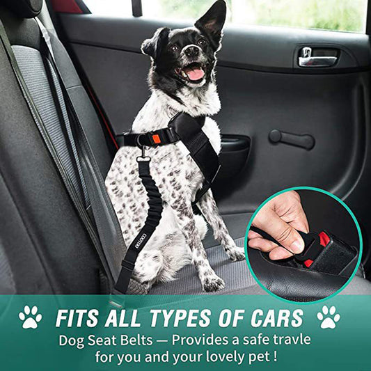 Removable Dog Seat Belt Harness for Car